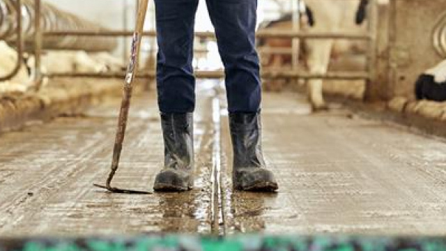 Навозоудаление